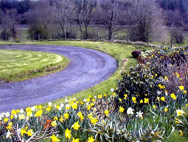 Driveway in Spring