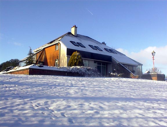 Snow in Winter