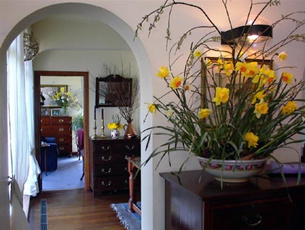 Welcome to Clanwilliam Lodge